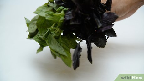 Optimal Oven Drying: Keep Basil's Flavor and Nutrients