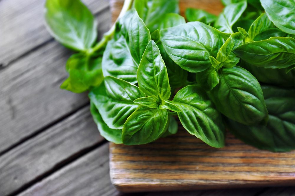 Quick Guide to Oven Drying Basil: Prep, Temp, & Time